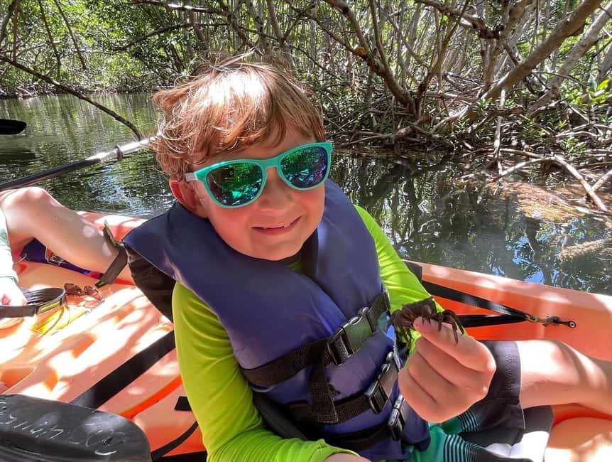 Tavernier, FL: Mangrove and Manatees Guided Kayak Eco Tour - Choosing between a single and double kayak