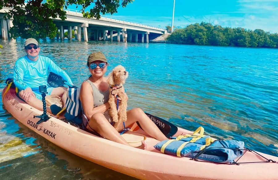Tavernier, FL: Mangrove and Manatees Guided Kayak Eco Tour - Looking for manatees, birds, and turtles