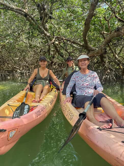 Tavernier, FL: Mangrove and Manatees Guided Kayak Eco Tour - Two hours at a comfortable pace