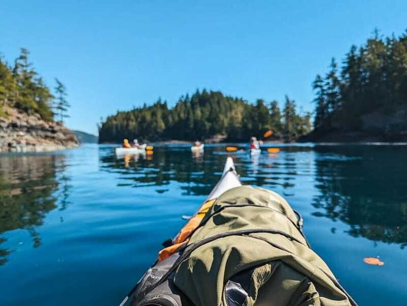 Telegraph Cove: Half-Day Kayaking Tour - Watching for eagles, seals, porpoises, and orcas