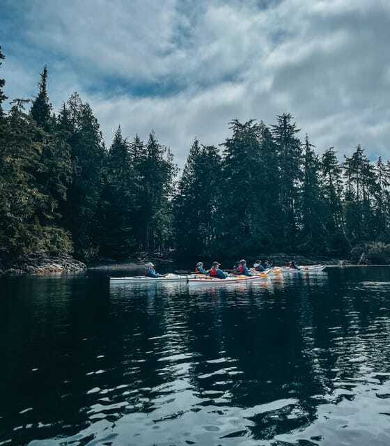 Telegraph Cove: Half-Day Kayaking Tour - Is four hours suitable for a first kayaking trip?