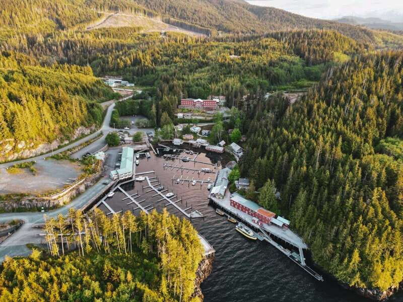 Telegraph Cove: Half-Day Kayaking Tour - What the $129 price gets you