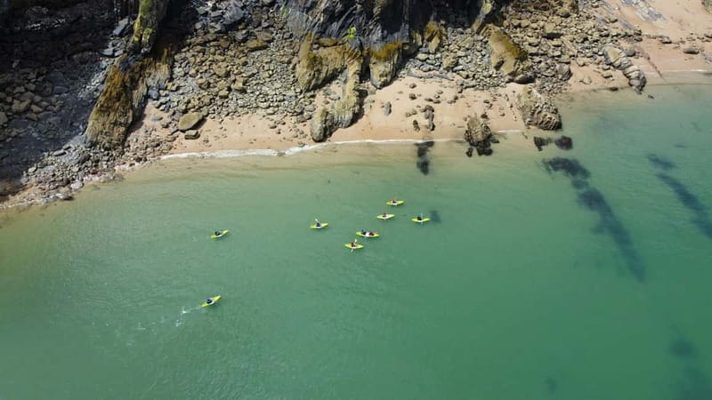 Tenby: Guided Kayaking Adventure - Key points to know before booking
