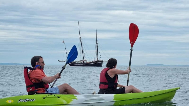 Tenby: Guided Kayaking Adventure - How much value you get for $81