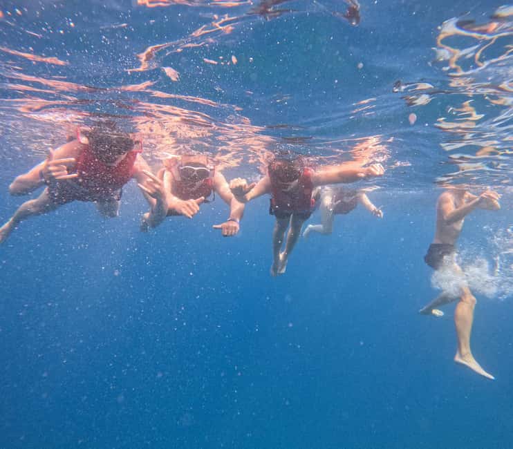Tenerife: Eco Kayak & Snorkeling - A guide-led trip with a relaxed pace