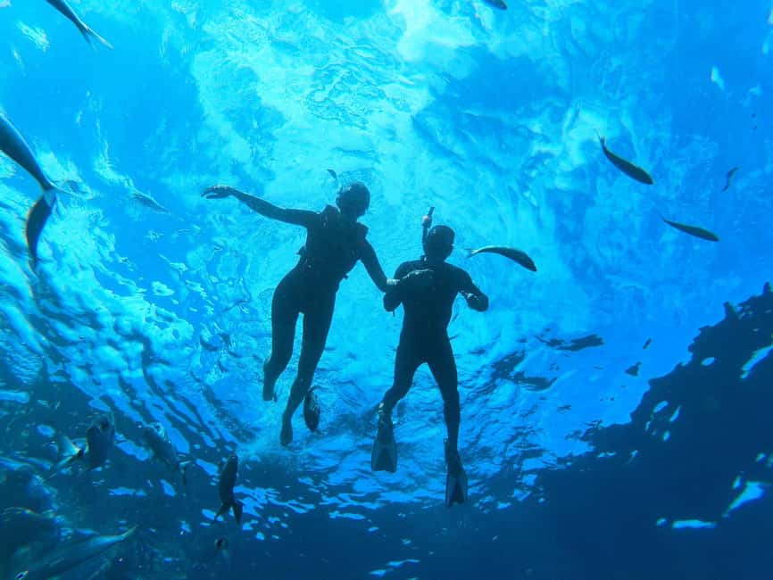 Tenerife: Eco Kayak & Snorkeling - What the $41 price really covers