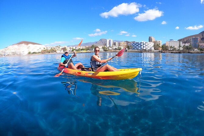 Tenerife: Kayak and snorkel with marine life safari - Looking for dolphins and sea turtles