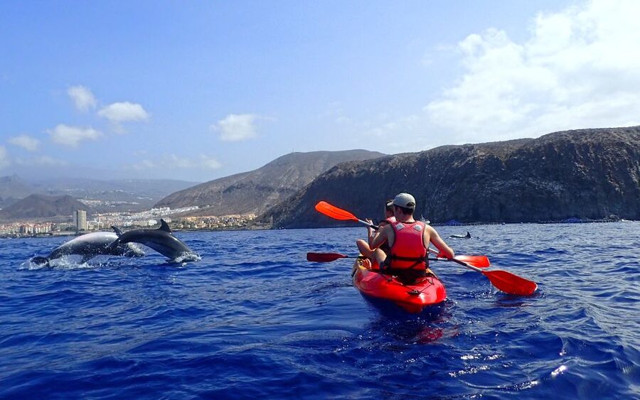 Tenerife: Kayak and Snorkel with Turtles, Wetsuits Included - Who should book, and who should skip it