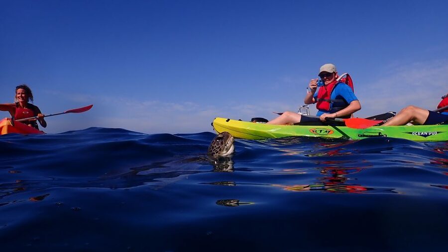 Tenerife: Kayak and Snorkel with Turtles, Wetsuits Included - The short paddle to Cueva de los Enamorados