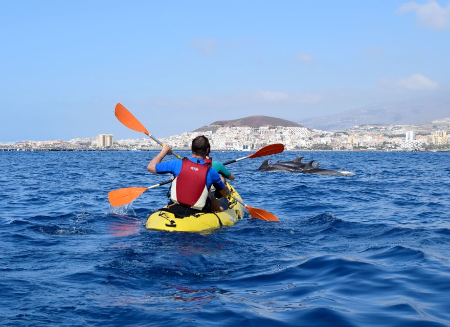 Tenerife: Kayak and Snorkel with Turtles, Wetsuits Included - Is $35 good value?