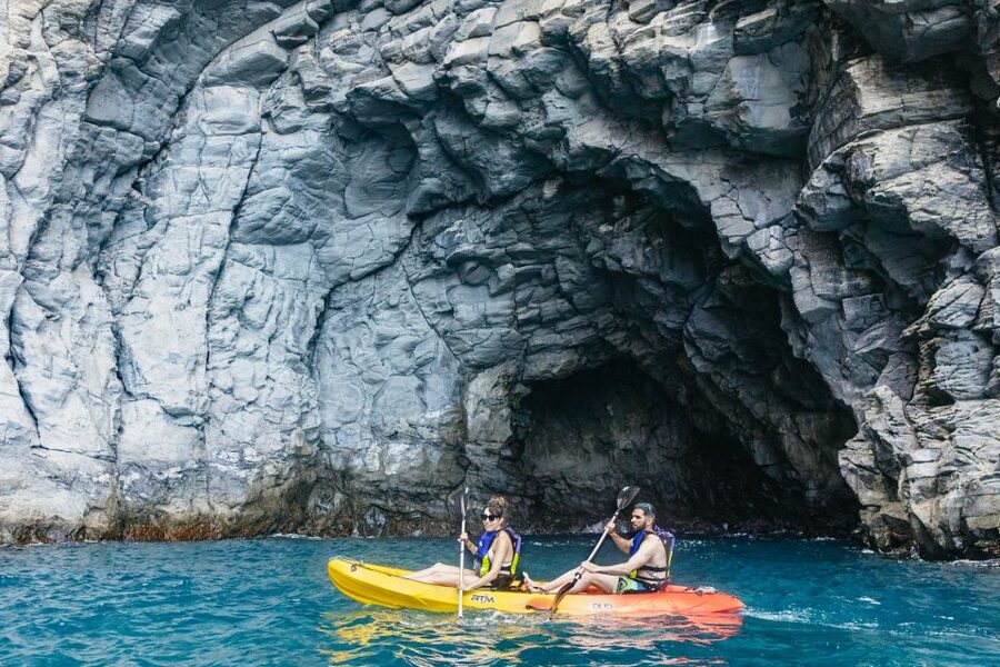 Tenerife: Kayak Safari and Snorkel in a Marine Reserve - Dolphins, turtles, and responsible wildlife watching