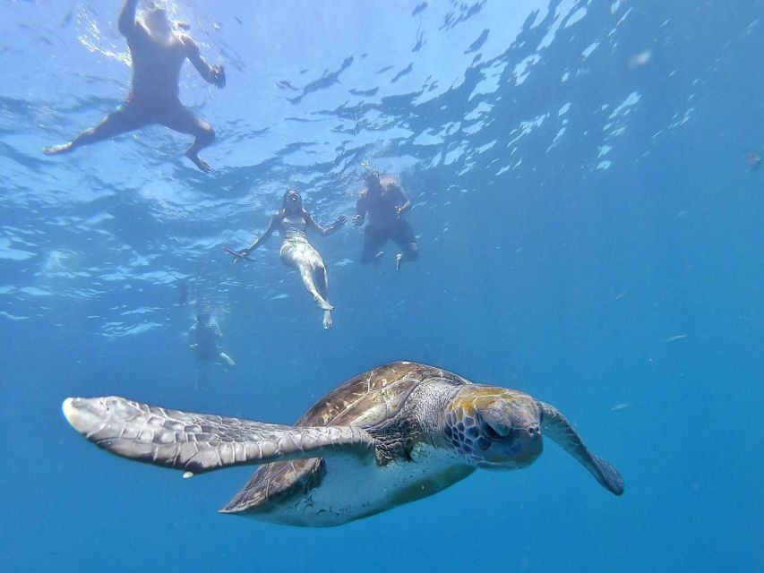 Tenerife: Kayak Safari and Snorkel in a Marine Reserve - What the physical effort feels like