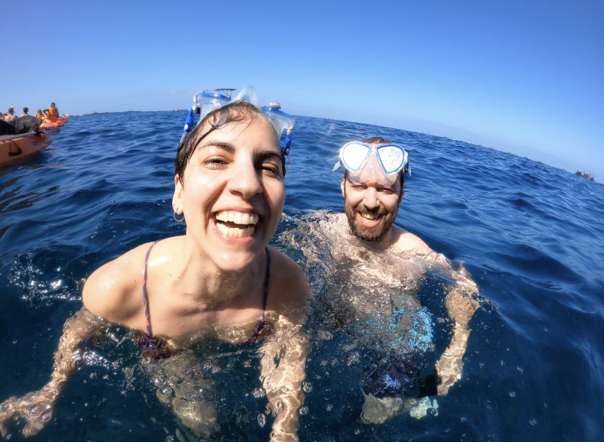 Tenerife: Kayak Safari and Snorkel in a Marine Reserve - Guides, group feel, and equipment