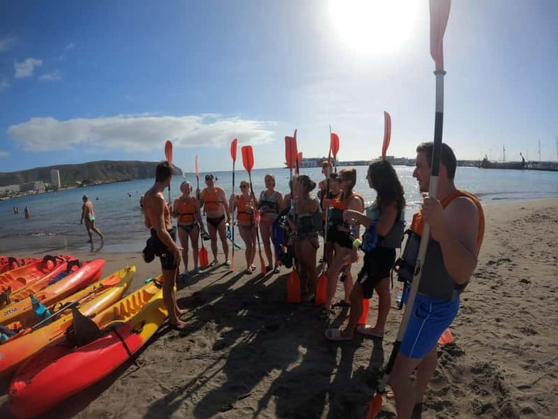 Tenerife: Kayak Sea Safari with Snorkel and Snacks - Who should book, and who should skip it