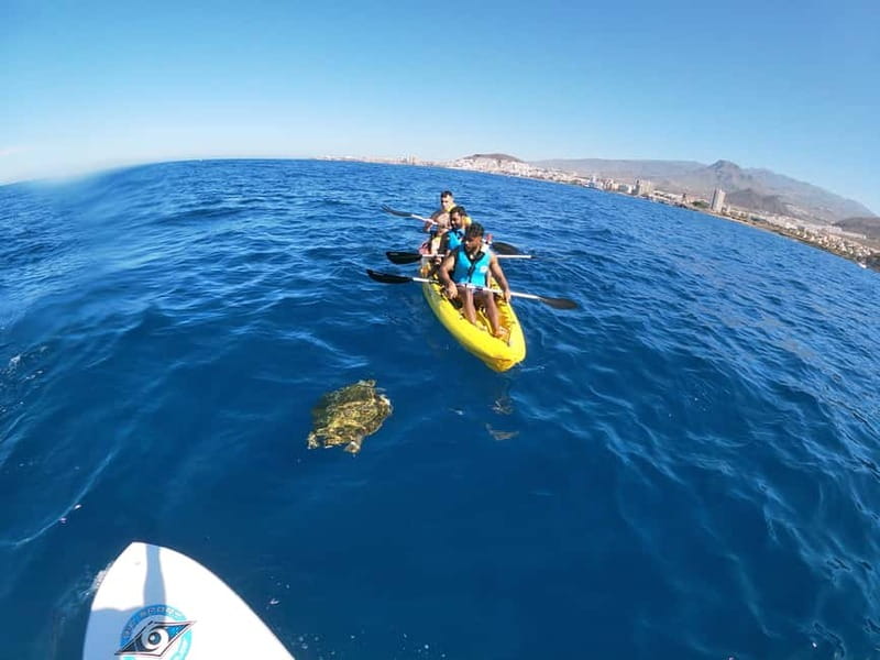 Tenerife: Kayak & Snorkel with Local Fauna, Photos Included - Who should book this Tenerife experience