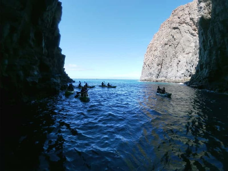 Tenerife: Kayak & Snorkel with Local Fauna, Photos Included - Why this Los Cristianos kayak trip works
