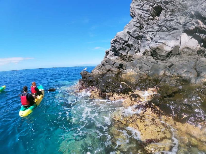 Tenerife: Kayak & Snorkel with Local Fauna, Photos Included - Snorkeling near the cave for about 20 minutes