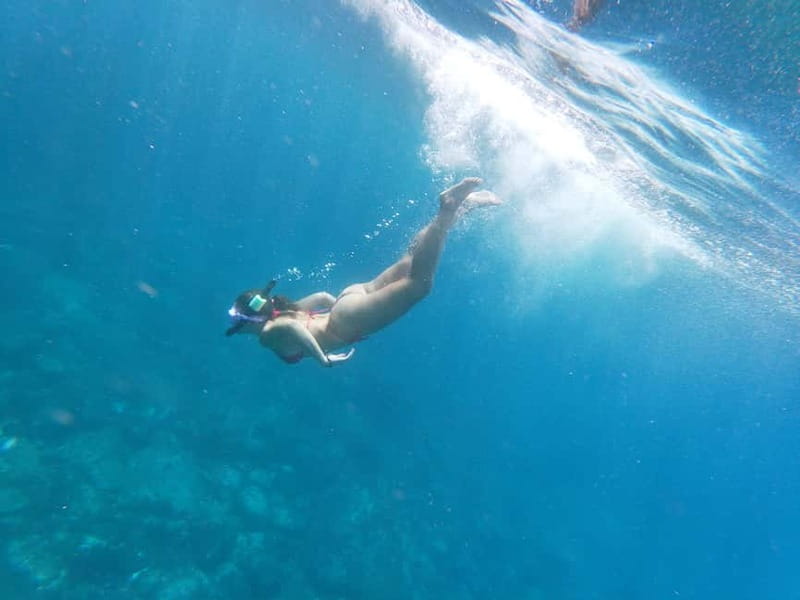 Tenerife: Kayak & Snorkel with Local Fauna, Photos Included - The wildlife is special because it is not scripted