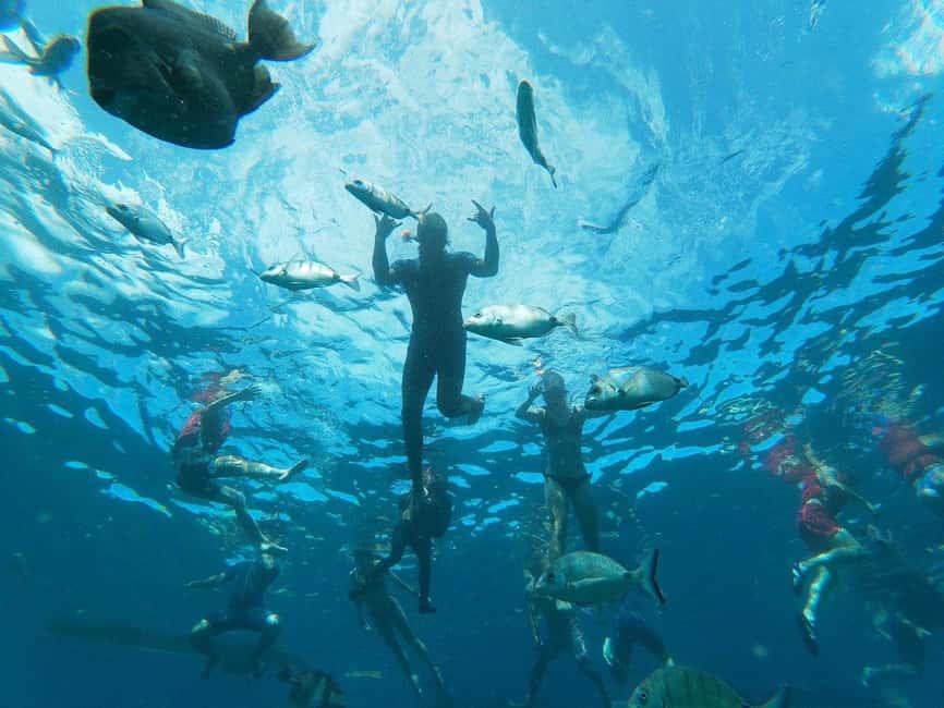 Tenerife: Kayak & Snorkeling, Marine Fauna Watching - Starting at La Arenita with a short safety lesson