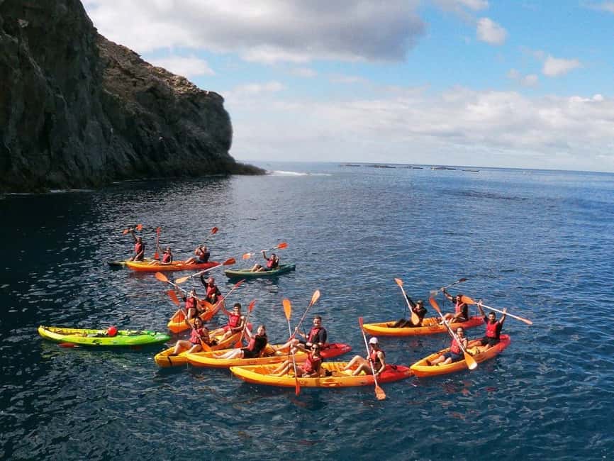 Tenerife: Kayak & Snorkeling, Marine Fauna Watching - The longest paddle before the swim