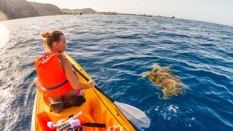 Tenerife: Kayak & Snorkeling Tour - Small Groups - My verdict on the Los Cristianos experience