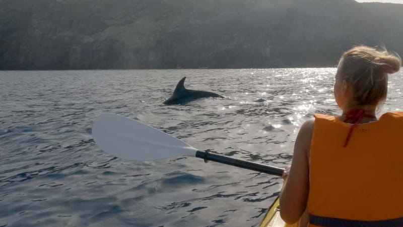 Tenerife: Kayak & Snorkeling Tour - Small Groups - The 30-minute snorkeling stop