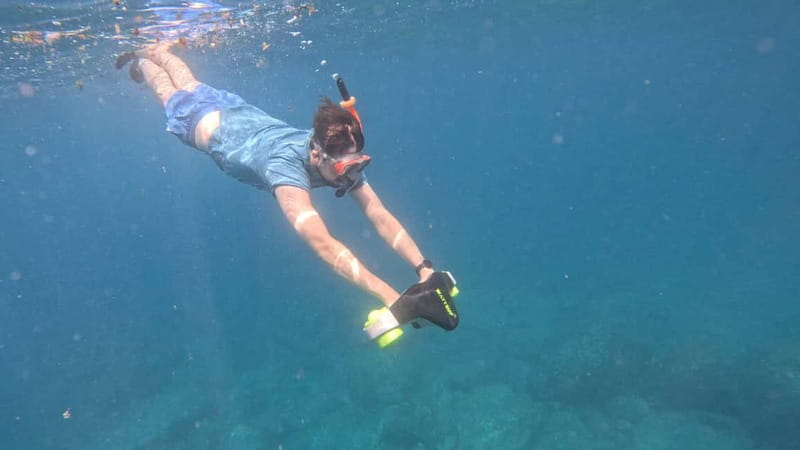 Tenerife: Kayak Tour with Animals and Underwater Scooters - Key points at a glance