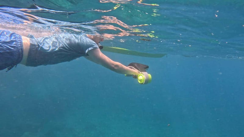 Tenerife: Kayak Tour with Animals and Underwater Scooters - Practical advice before you go