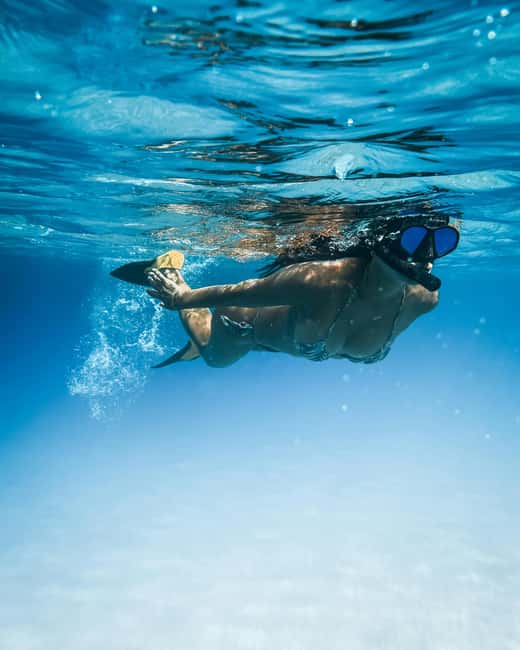 Tenerife: Paddle Surf Experience in Playa de las Américas - Practical advice for a smoother session