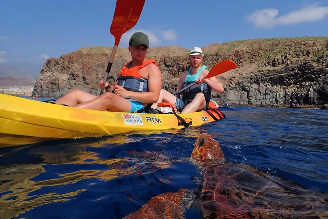 Tenerife: Turtle & Dolphin Kayak Tour with Snorkel & Wetsuit - Paddling out from Los Cristianos