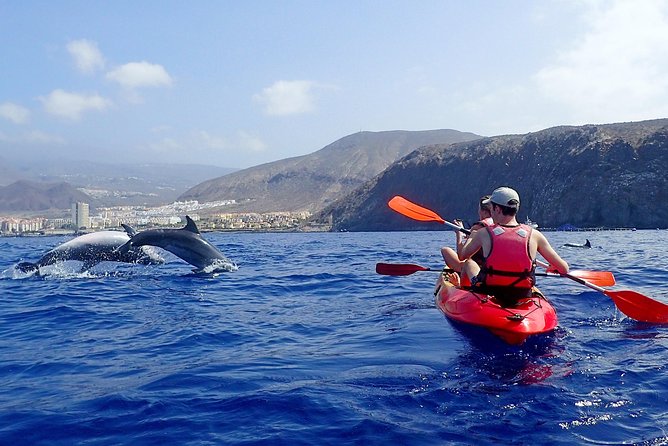 Tenerife: Turtle & Dolphin Kayak Tour with Snorkel & Wetsuit - Looking for dolphins near the fish farm