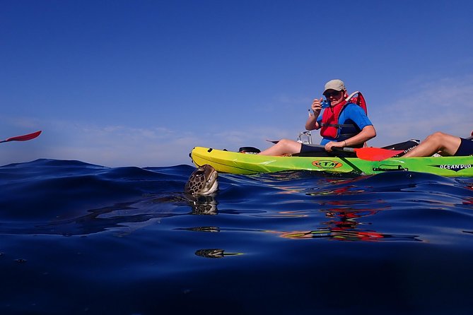 Tenerife: Turtle & Dolphin Kayak Tour with Snorkel & Wetsuit - The return toward Mount Teide