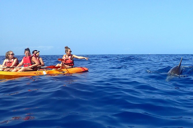 Tenerife: Turtle & Dolphin Kayak Tour with Snorkel & Wetsuit - How hard is this kayak tour?