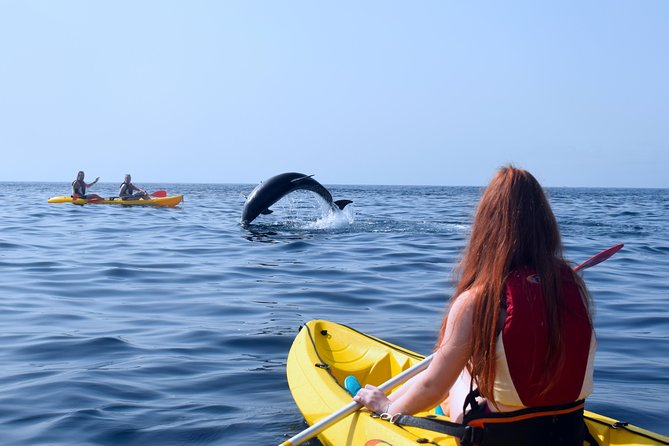 Tenerife: Turtle & Dolphin Kayak Tour with Snorkel & Wetsuit - Guides, safety, and the English-language experience