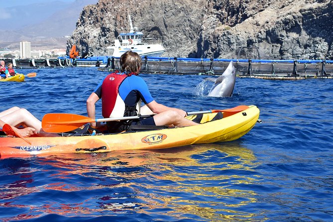 Tenerife: Turtle & Dolphin Kayak Tour with Snorkel & Wetsuit - What the $42.33 price gets you
