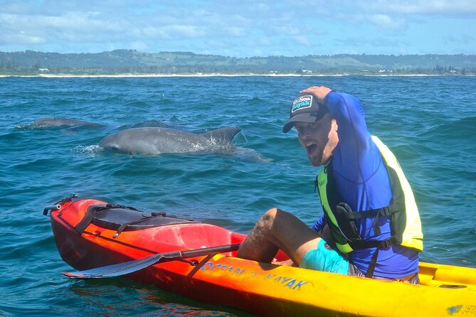 The Byron Bay Sea Kayak Tour - The Pacific coast from a tandem kayak