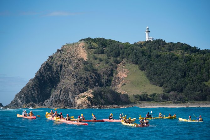 The Byron Bay Sea Kayak Tour - What the guides add to the trip