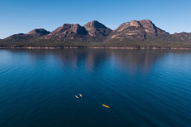 The Freycinet Paddle - Wildlife without the promise of a sighting