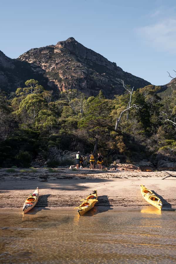 The Freycinet Paddle Kayak Tour - Wildlife on the Coles Bay route