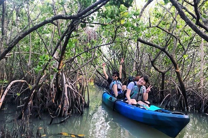 Thousand Island Mangrove Tunnel, Manatee & Dolphin Kayak Tour w/Cocoa Kayaking - The guides make the difference