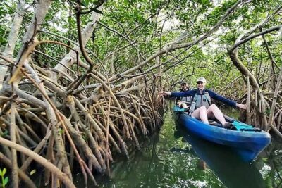 Thousand Island Mangrove Tunnel, Manatee & Dolphin Kayak Tour w/Cocoa Kayaking