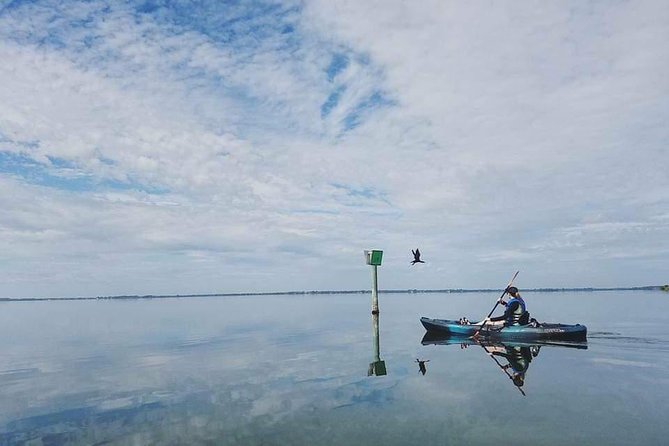 Thousand Island Mangrove Tunnel, Manatee & Dolphin Kayak Tour w/Cocoa Kayaking - Price, timing, and what you receive for $69.08