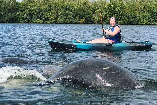 Thousand Island Mangrove Tunnel, Manatee & Dolphin Kayak Tour w/Cocoa Kayaking - Who will enjoy this tour most