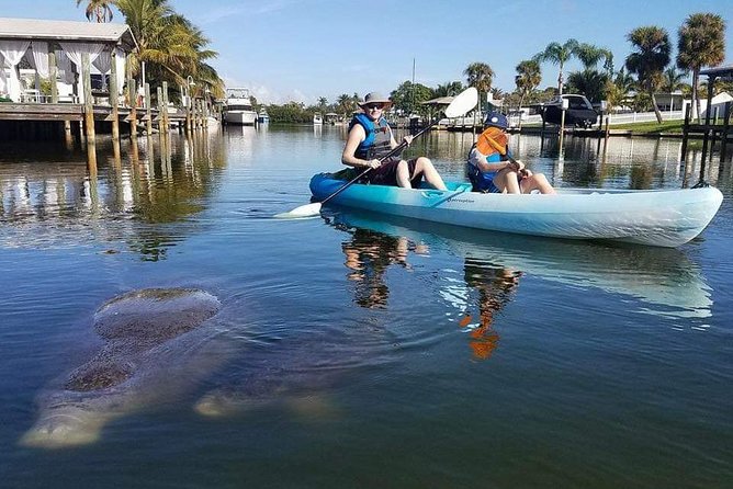 Thousand Island Mangrove Tunnel, Manatee & Dolphin Kayak Tour w/Cocoa Kayaking - Practical details before you go