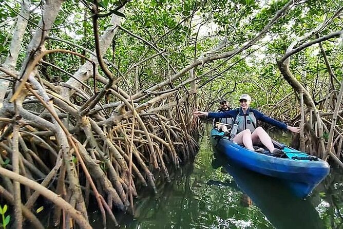 Thousand Island Mangrove Tunnel, Manatee & Dolphin Kayak Tour w/Cocoa Kayaking - Wildlife to watch for, without chasing it
