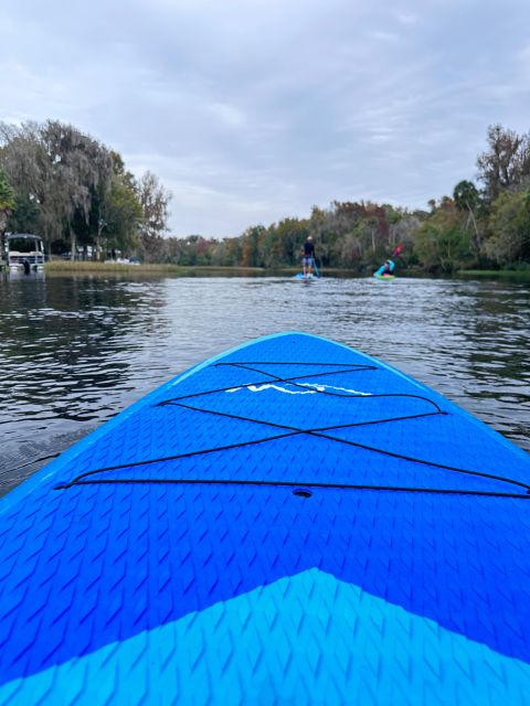 Three Sister Springs: Self Guided Tour- Clear Kayak Rental - Why King’s Bay makes this kayak trip special