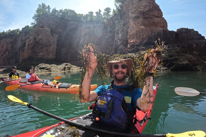 Three Sisters Sea Kayaking Day Tour - Weather, clothing, and what to bring