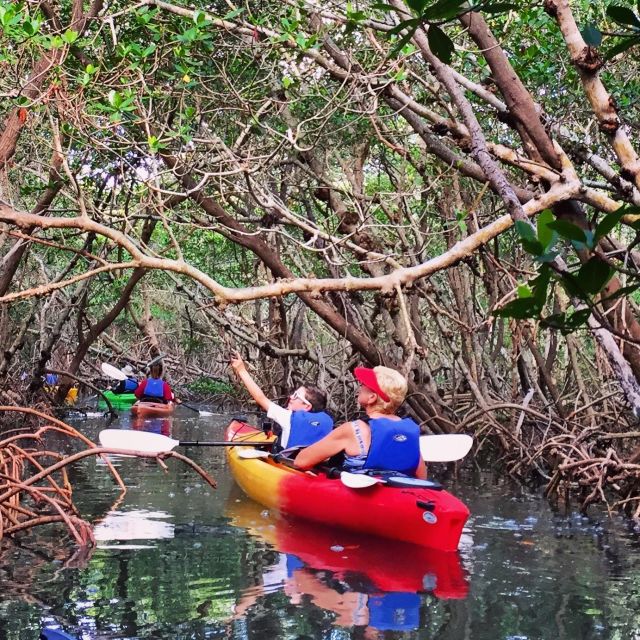 Tierra Verde FL: Coastal Kayaking Tour in Shell Key - Key points to know before you paddle