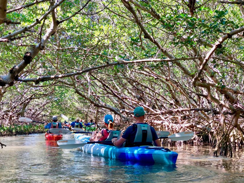 Tierra Verde FL: Coastal Kayaking Tour in Shell Key - Cancellation and planning details