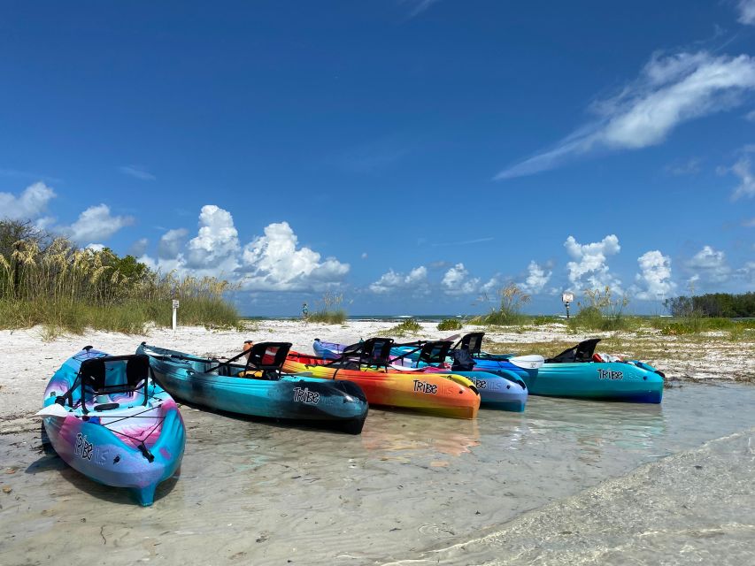 Tierra Verde FL: Coastal Kayaking Tour in Shell Key - The first hour: paddling through the preserve